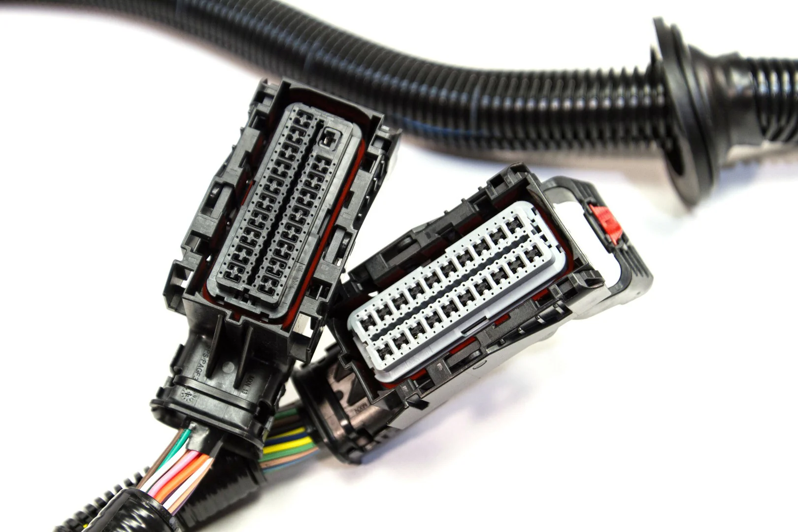 300ZX LSx Swap Engine Harness - Gen 4 58X Engines - Image 3